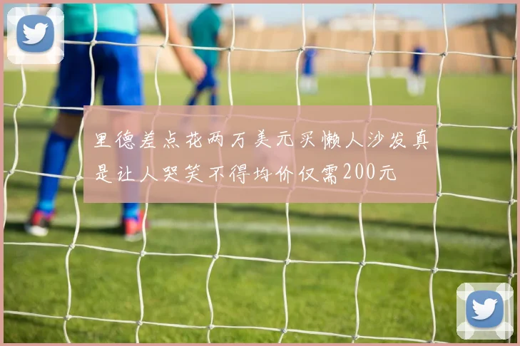 里德差点花两万美元买懒人沙发真是让人哭笑不得均价仅需200元