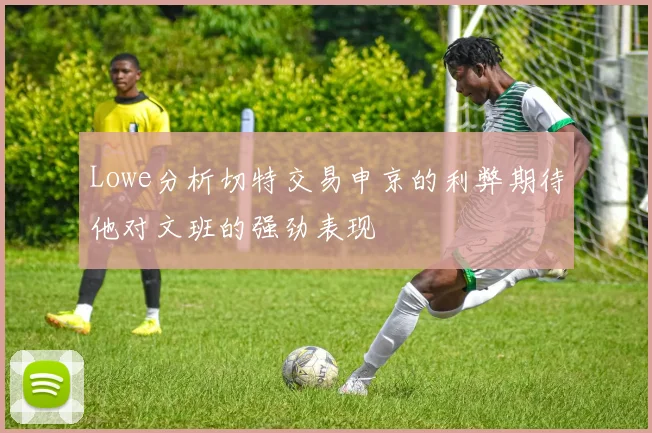 Lowe分析切特交易申京的利弊期待他对文班的强劲表现